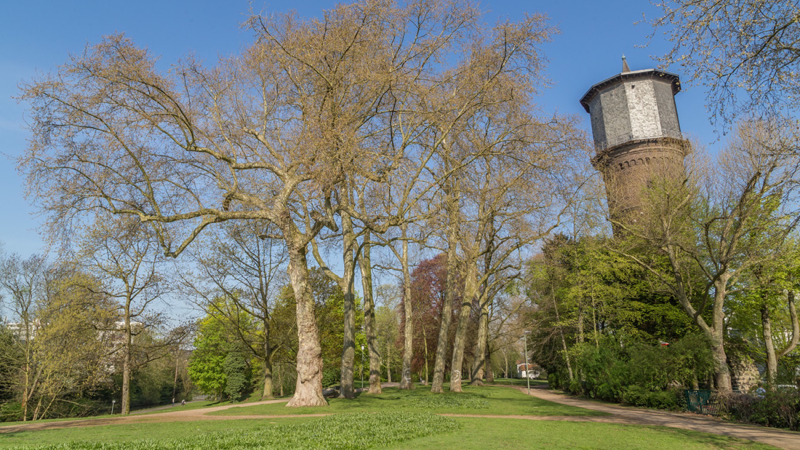 Historic water tower near the city’s Rose Garden.